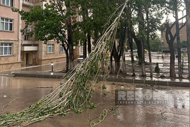 Naxçıvanda güclü yağış yağması bir sıra fəsadlara səbəb oldu - YENİLƏNİB + FOTO/VİDEO